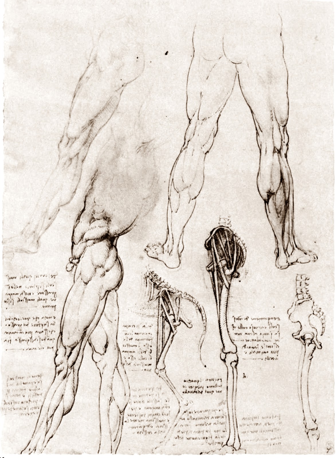 Leonardo+da+Vinci-1452-1519 (817).jpg